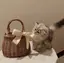 cocoaのプロフィール画像