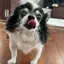 Naoのプロフィール画像