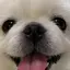 マルのプロフィール画像