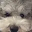mrnのプロフィール画像