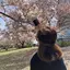 ななのプロフィール画像