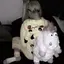 A2のプロフィール画像