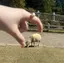 栞のプロフィール画像