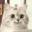 琉珠のプロフィール画像