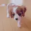 さぁたろのプロフィール画像