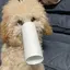 yukaのプロフィール画像