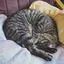 あいなのプロフィール画像