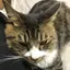 Mのプロフィール画像