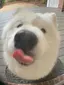 りそりそのプロフィール画像