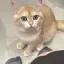 たのプロフィール画像