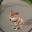 あのプロフィール画像