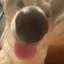 もものプロフィール画像