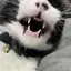 miのプロフィール画像