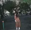 さとりのプロフィール画像