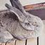 みちのプロフィール画像