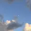 マコのプロフィール画像