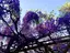 なつのプロフィール画像