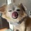 たっくんママのプロフィール画像