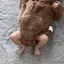 𝓗‪‪‪‪❤︎‬のプロフィール画像