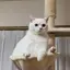 ゆのプロフィール画像