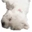 みんのプロフィール画像