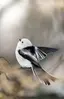 しらすのプロフィール画像