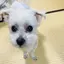 uiのプロフィール画像