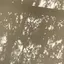 koooのプロフィール画像