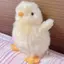 ぴよりんのプロフィール画像