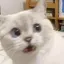 なぎのプロフィール画像