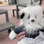 a.のプロフィール画像