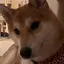 龍心のプロフィール画像