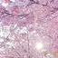 𖧷のプロフィール画像