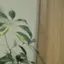 りょうたたのプロフィール画像