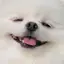 タニダのプロフィール画像