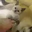 悦子のプロフィール画像
