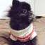 亮のプロフィール画像