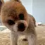 メアリのプロフィール画像