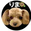natsuyoのプロフィール画像