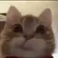 NAMIのプロフィール画像