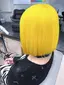 かけにゃのプロフィール画像