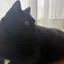 さがわのプロフィール画像