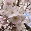 まさひろのプロフィール画像