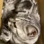 未紗のプロフィール画像