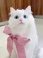 mllmのプロフィール画像