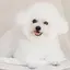 みちのプロフィール画像