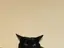 enuのプロフィール画像