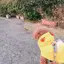 rihoのプロフィール画像