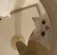 ききのプロフィール画像