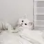 ‪☆のプロフィール画像